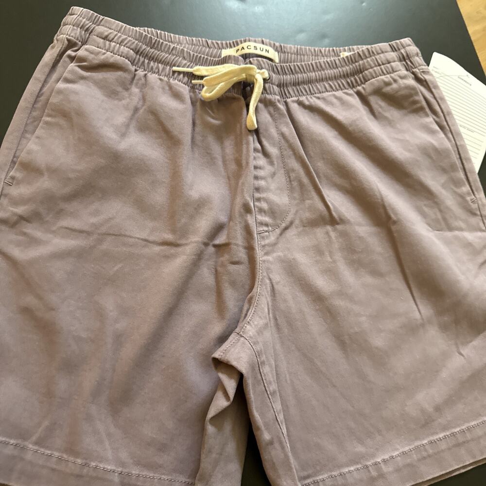 Pacsun Volley Shorts Mens Medium Lt Purple Elastic Waist Drawstring Preppy